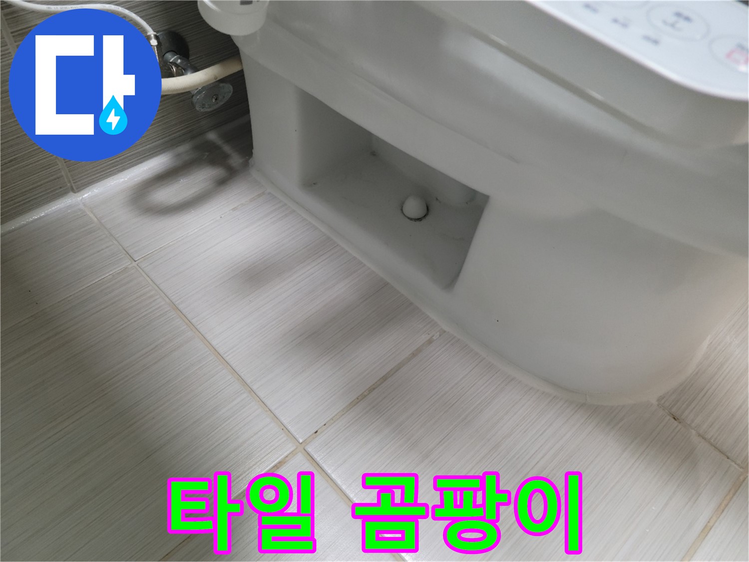 동두천 변기 누수 - 타일 곰팡이 - 곰팡이 제거