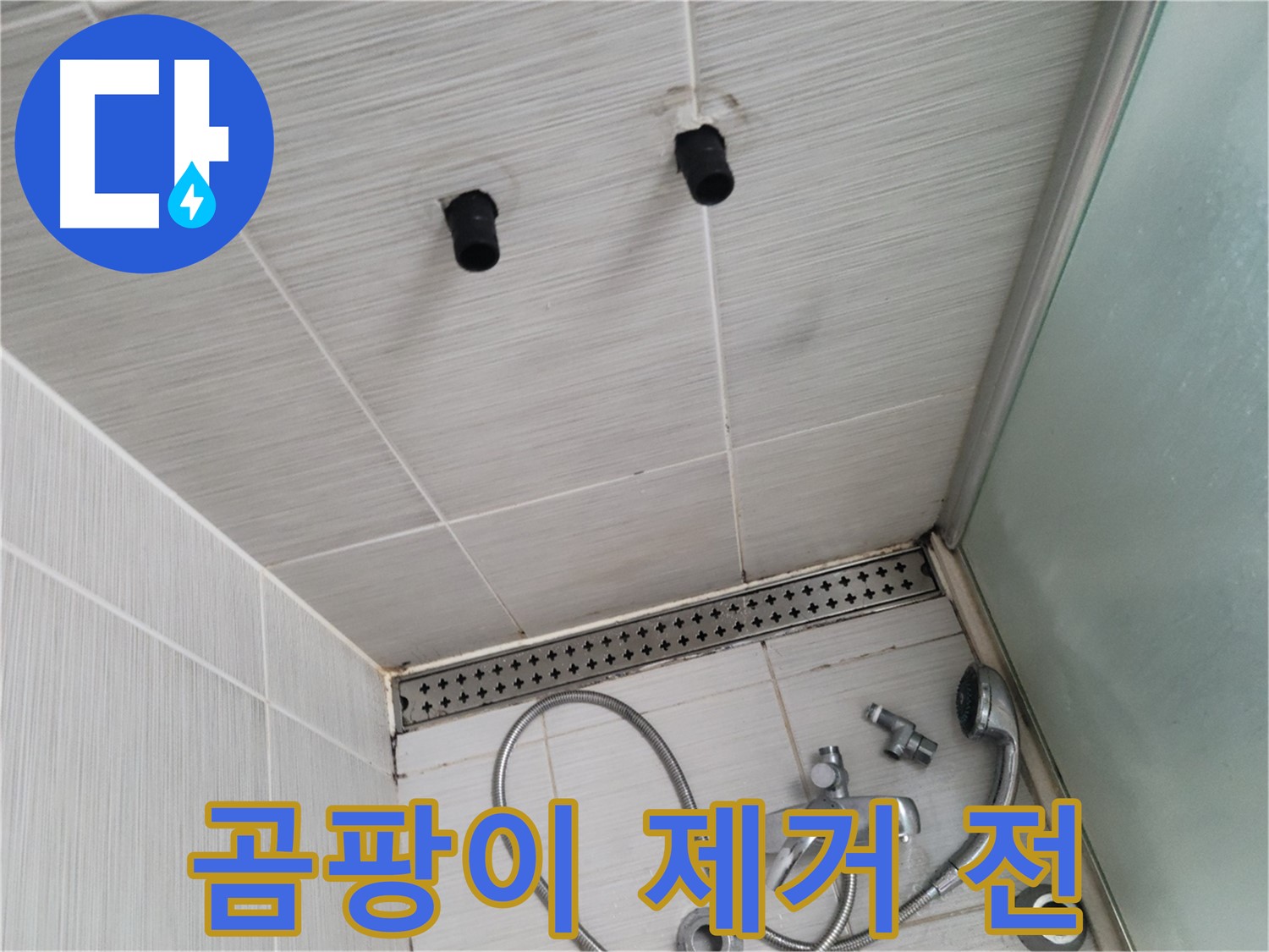 동두천 신창동 - 샤워기 철거 후 천장 타일 틈새의 곰팡이 제거 전 모습 - 곰팡이 제거 작업 시작 전