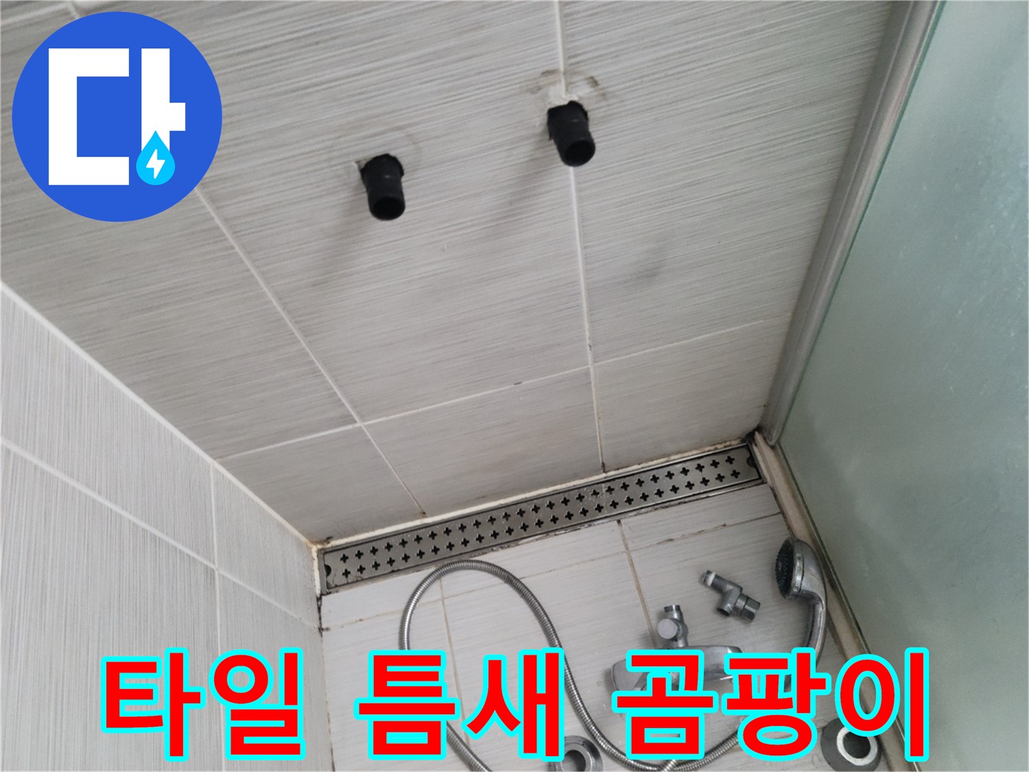 동두천 신창동 - 샤워기 철거 후 타일 틈새 곰팡이 - 틈새 곰팡이, 누수의 시작일 수 있어요!