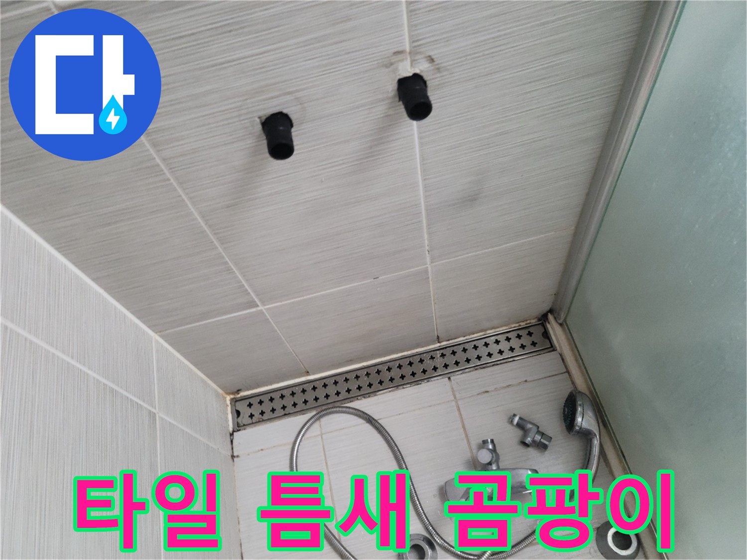 동두천 신창비바 - 샤워기 자리 벽면 타일 틈새 곰팡이 심각