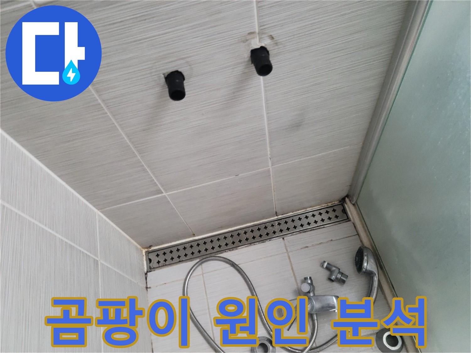 동두천 신창비바 - 샤워기 철거 후 벽면 곰팡이 발생 원인 정밀 분석 및 제거