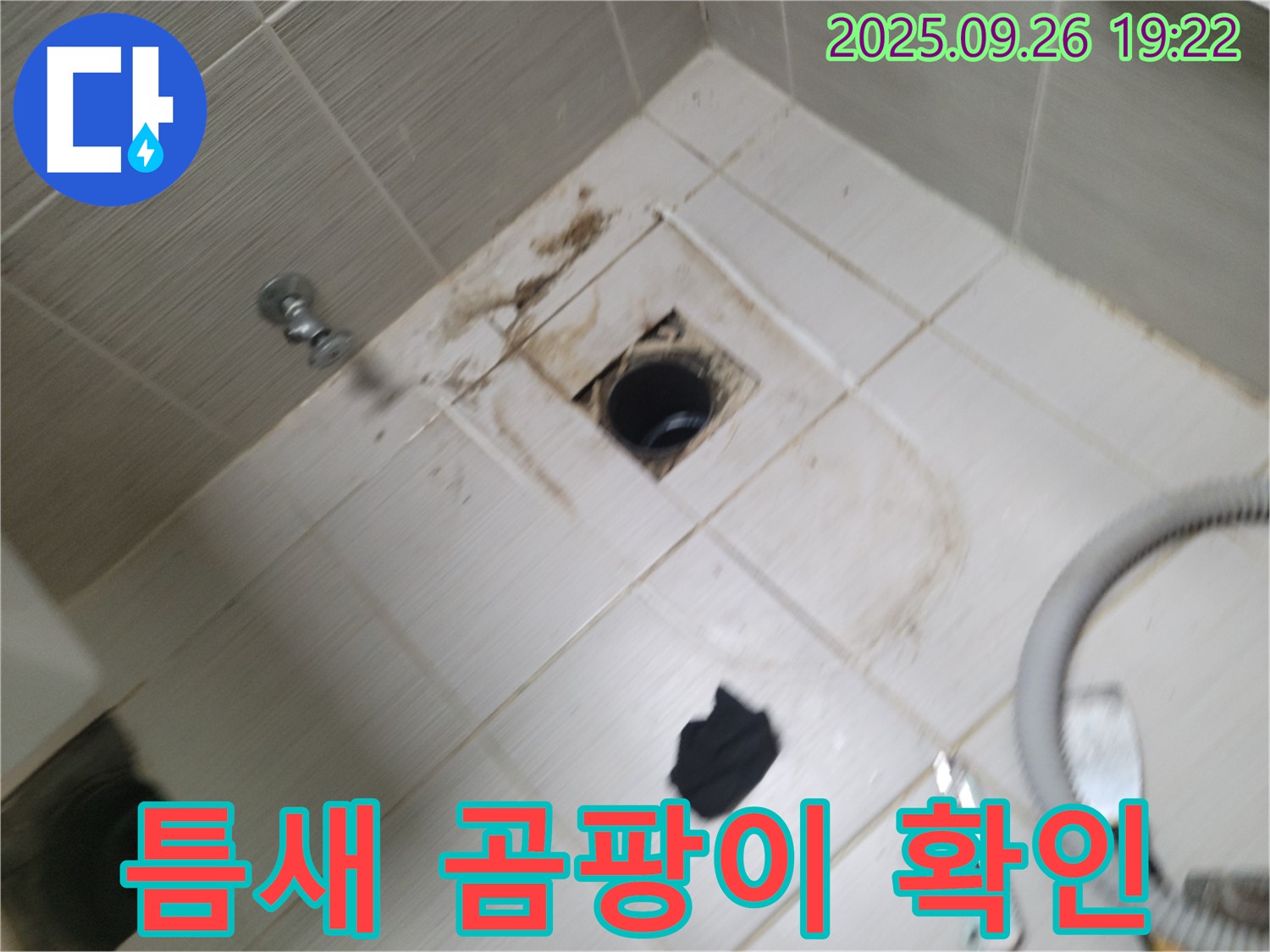 동두천 욕실 누수 - 배수구 주변 타일 틈새 곰팡이, 누수 신호 여부 확인