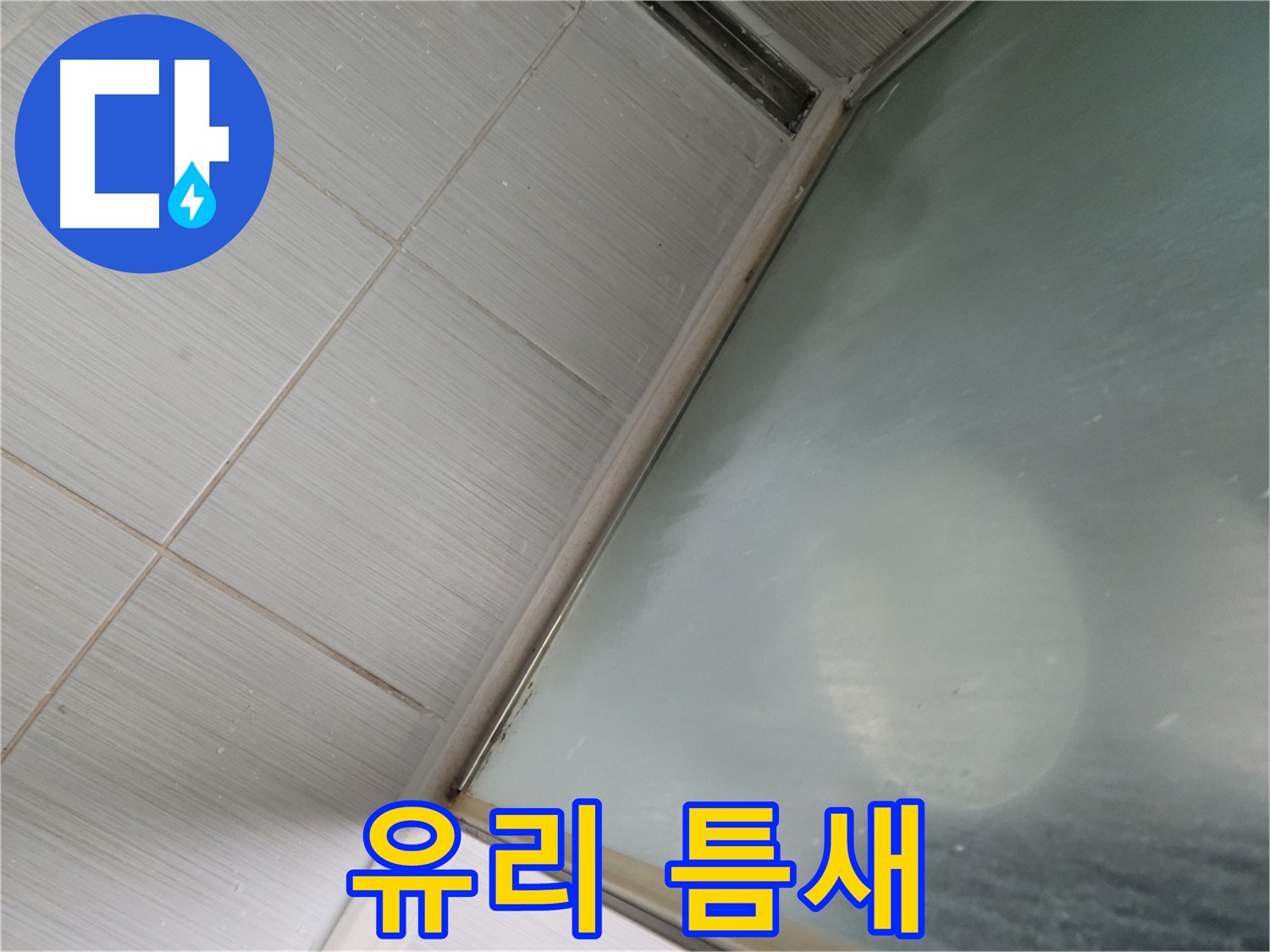 동두천시 강변로 샤워부스 유리 틈새 곰팡이 - 제거 및 방지 시공 - 누수 전문가