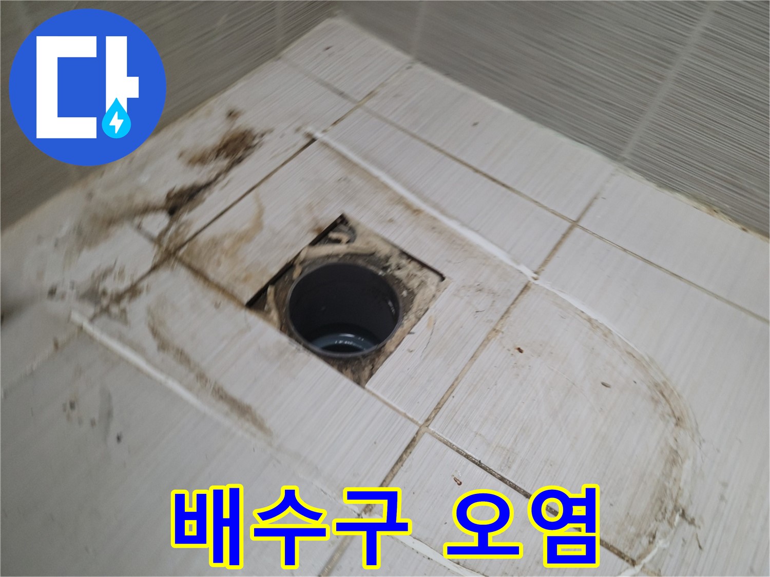 문제의 배수구 - 심각한 오염 재확인