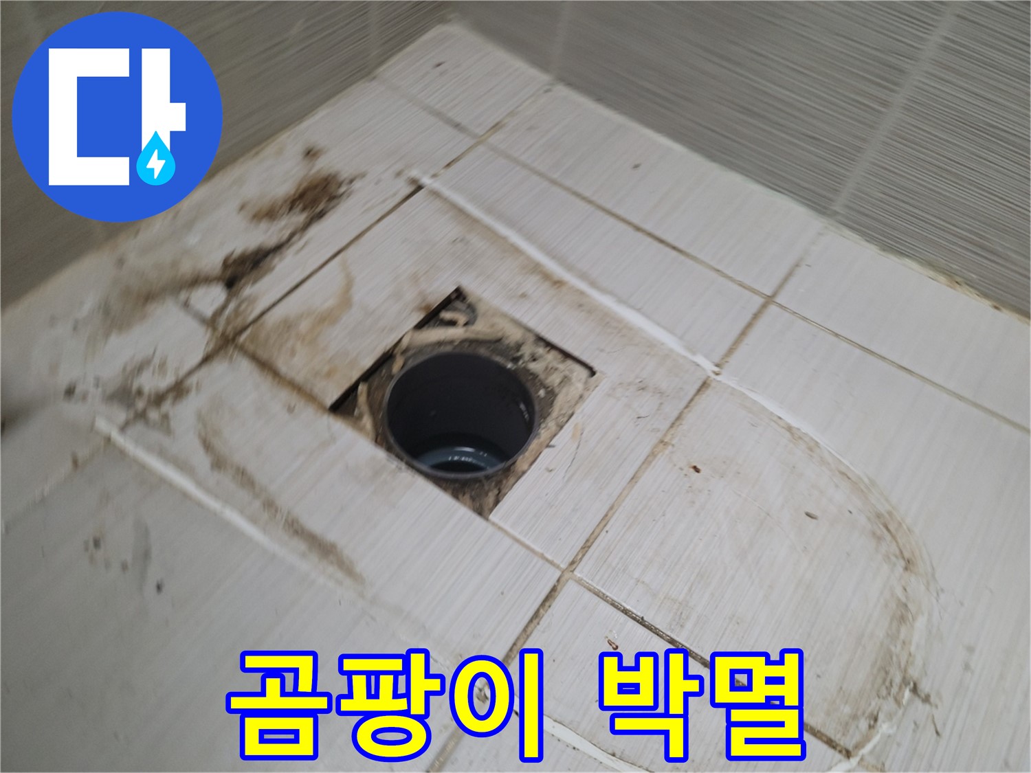 배수구 주변 - 곰팡이 완벽 박멸 작전 개시