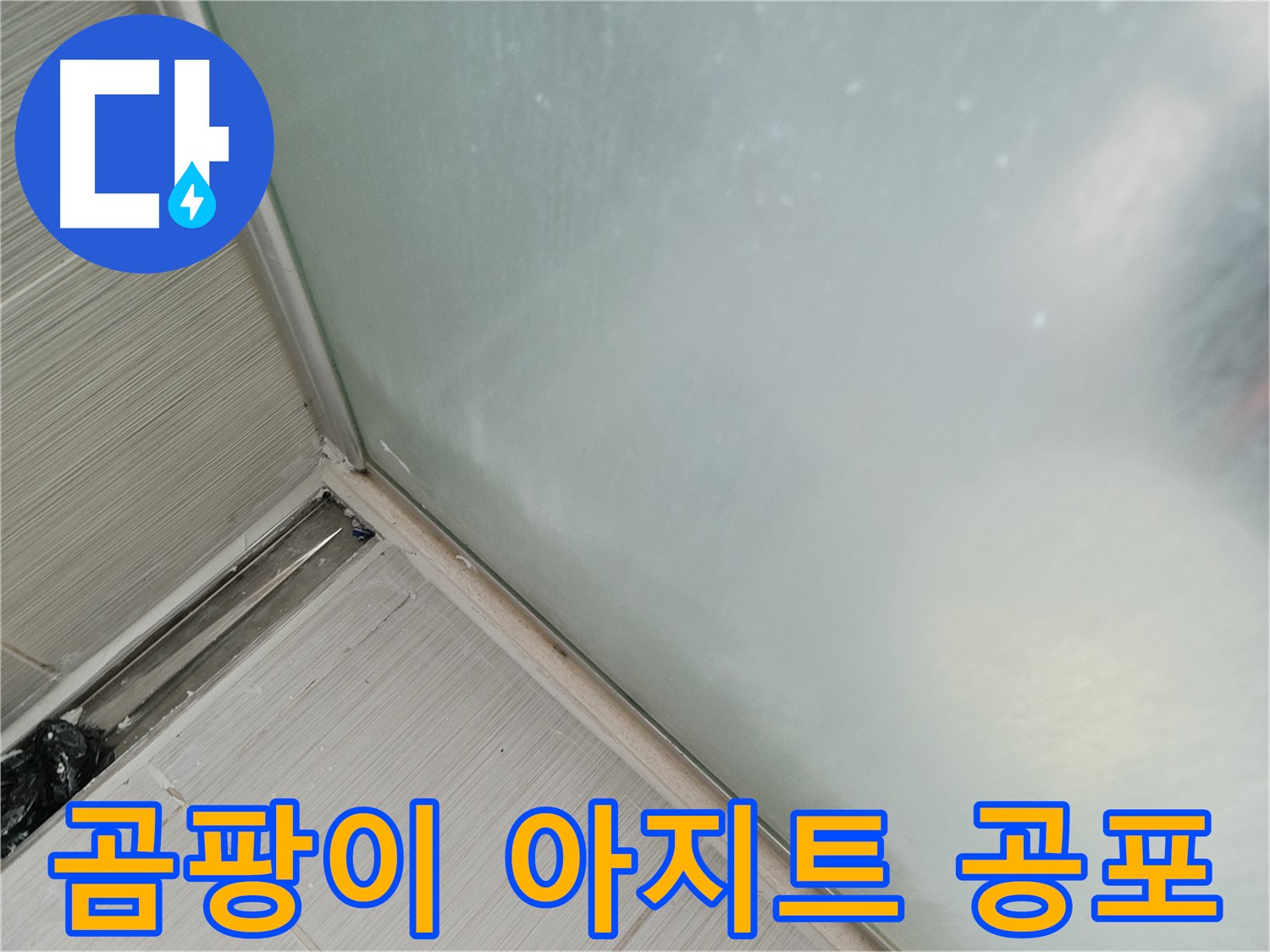 샤워부스 누수 - 곰팡이 아지트 - 실리콘 들뜸