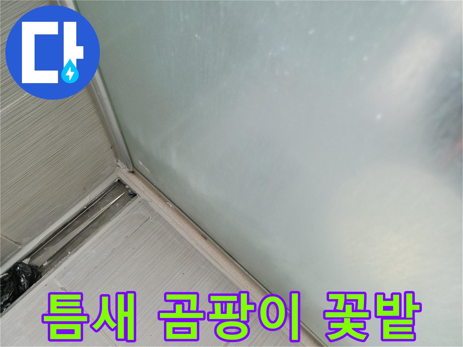 샤워부스 누수 - 틈새 - 곰팡이 꽃밭