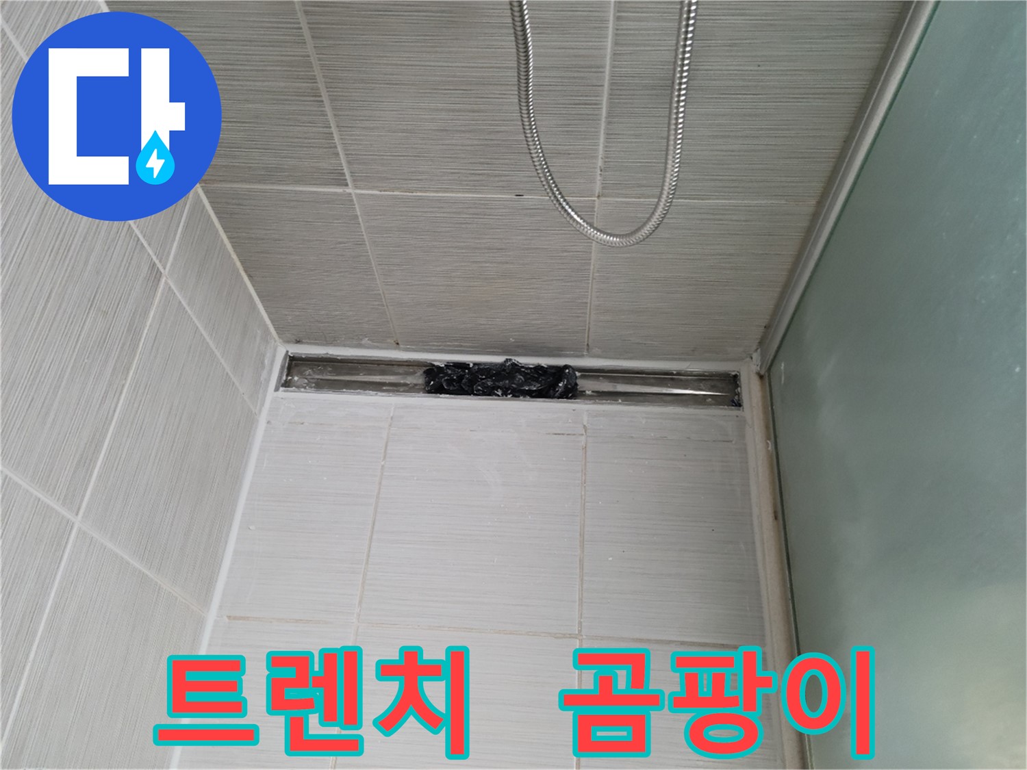 샤워부스 트렌치 - 곰팡이 아포칼립스! - 세상에!