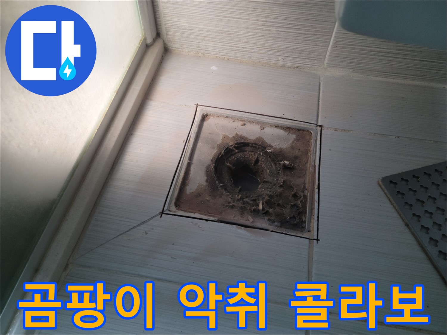 신창비바패밀리 욕실 배수구 - 곰팡이와 악취 콜라보!