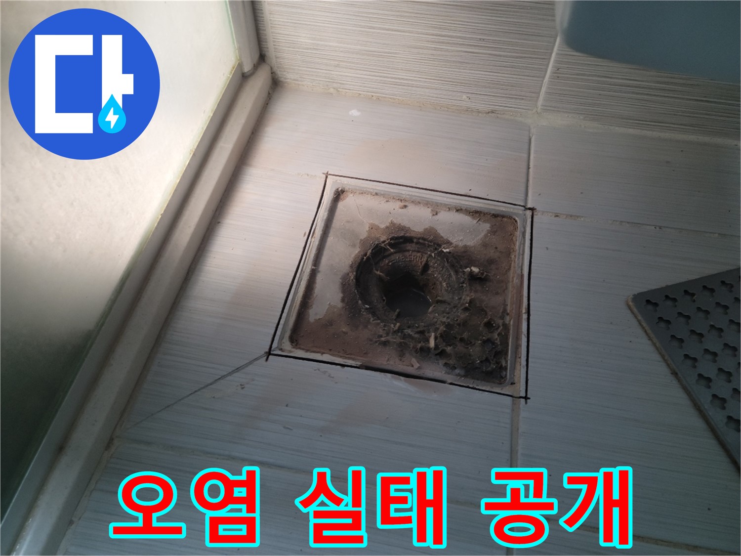 신창비바패밀리 욕실 배수구 - 오염의 실태 공개!