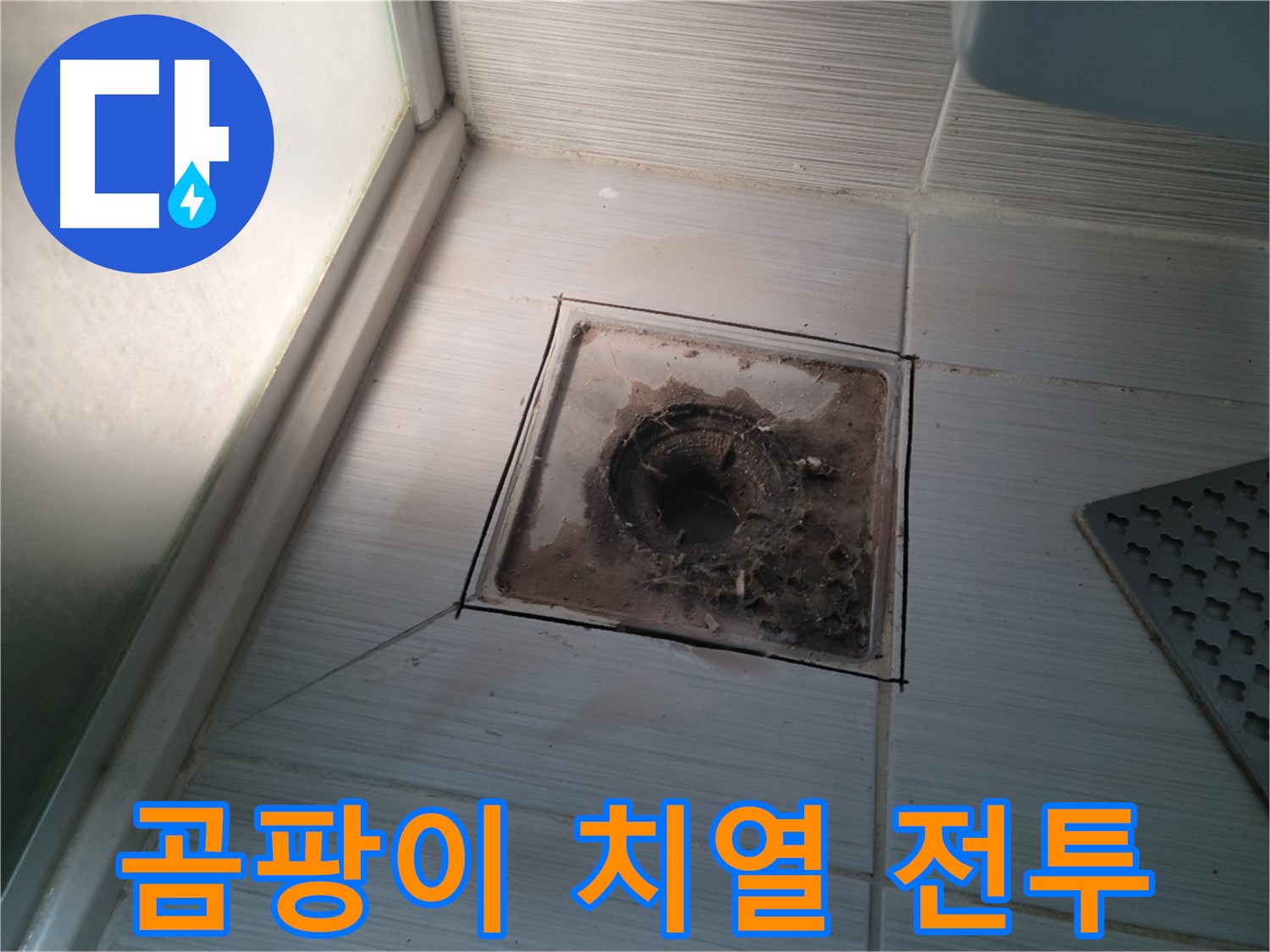 신창비바패밀리 욕실 배수구 주변 - 곰팡이와의 치열한 전투!