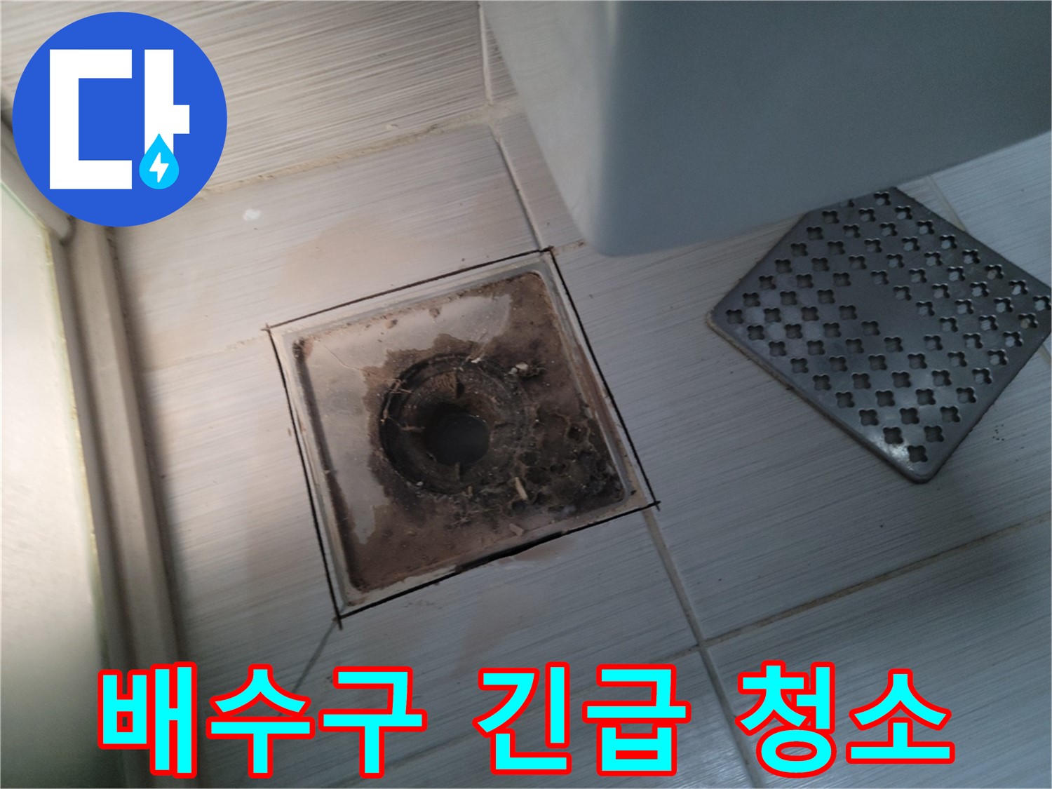욕실 배수구 - 심각한 오염 상태 - 긴급 청소 및 관리 필요
