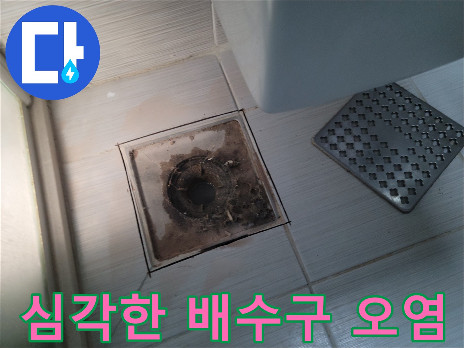 욕실 배수구 - 심각한 오염 - 청소 및 소독 시급
