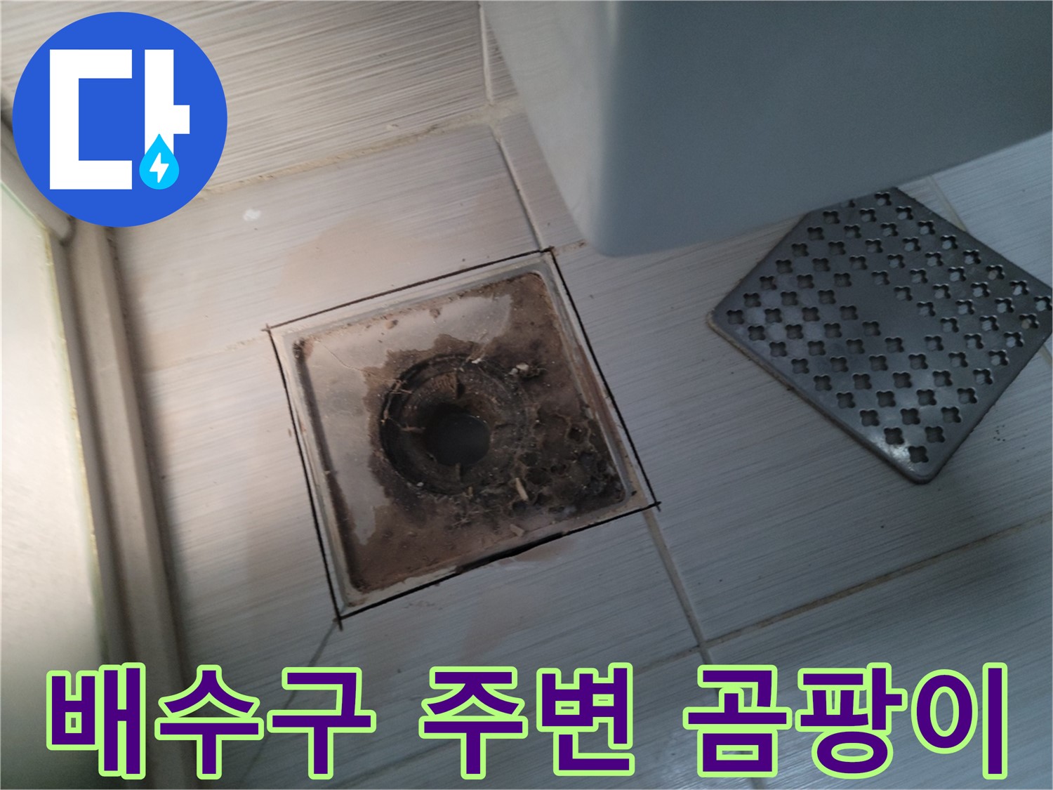욕실 배수구 주변 - 곰팡이 발생 - 누수로 인한 습기 의심
