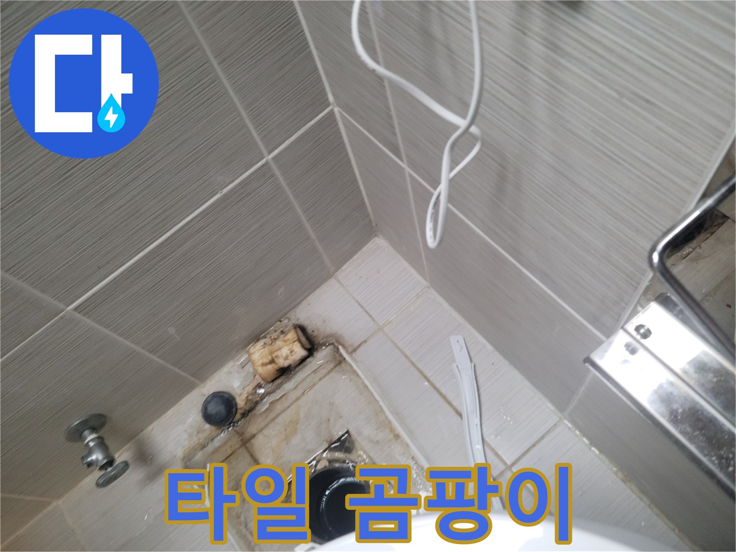 욕실 배수구 주변 - 타일 곰팡이