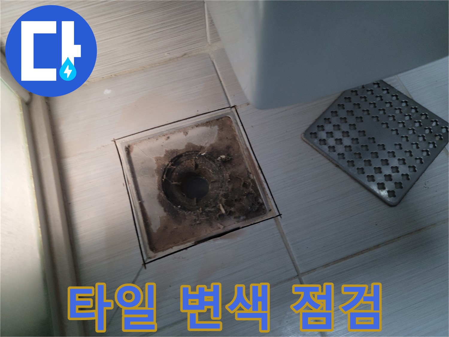 욕실 배수구 주변 - 타일 변색 - 누수 의심! 점검 필수