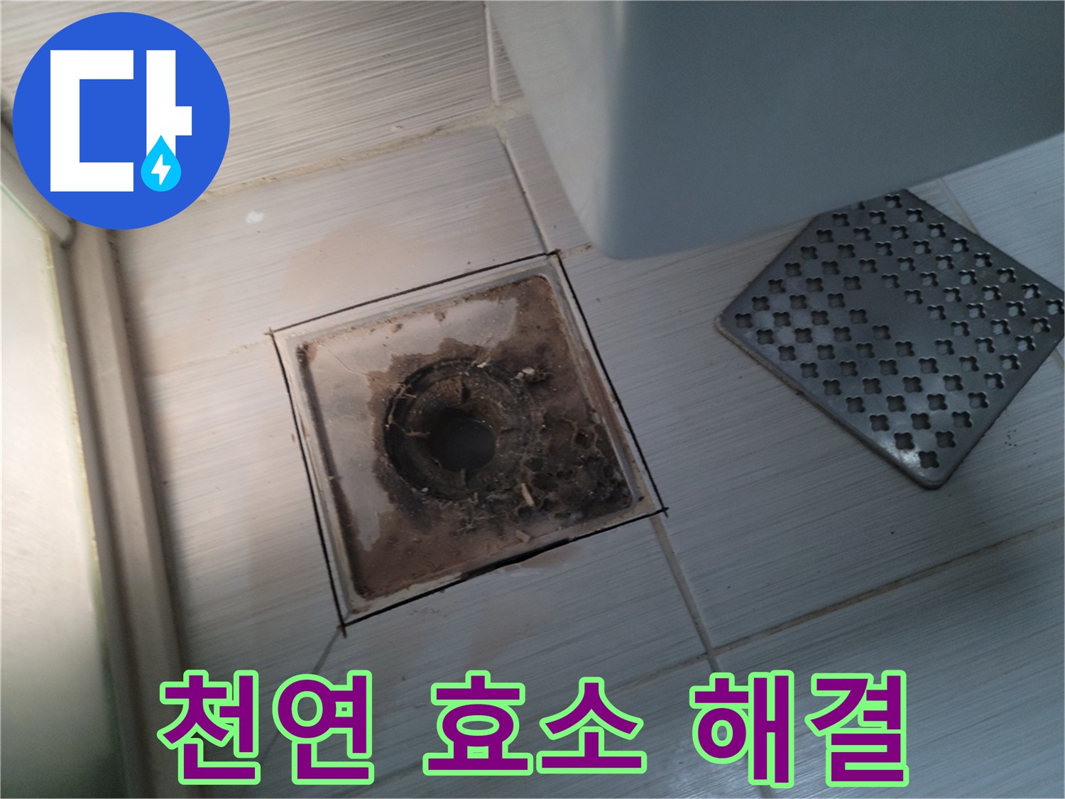 욕실 배수구 - 천연 효소 세정제 - 안심 시공