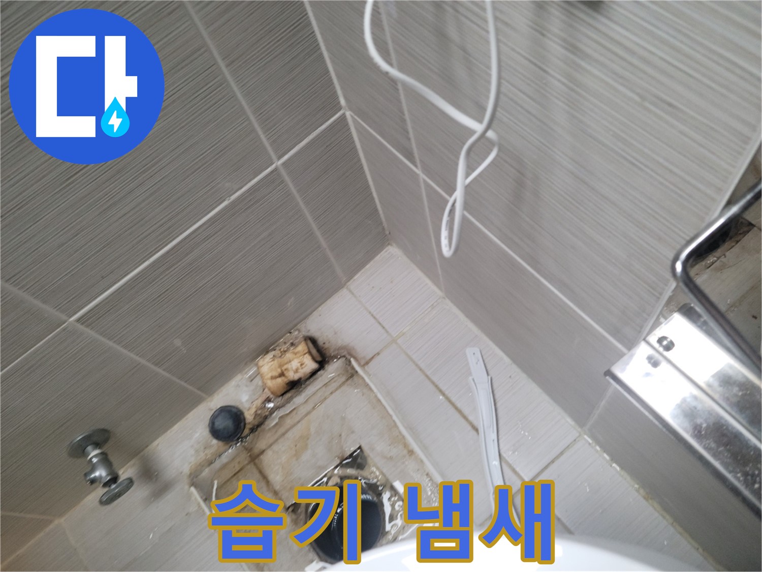 욕실 하수구 주변 - 습기 냄새 확인