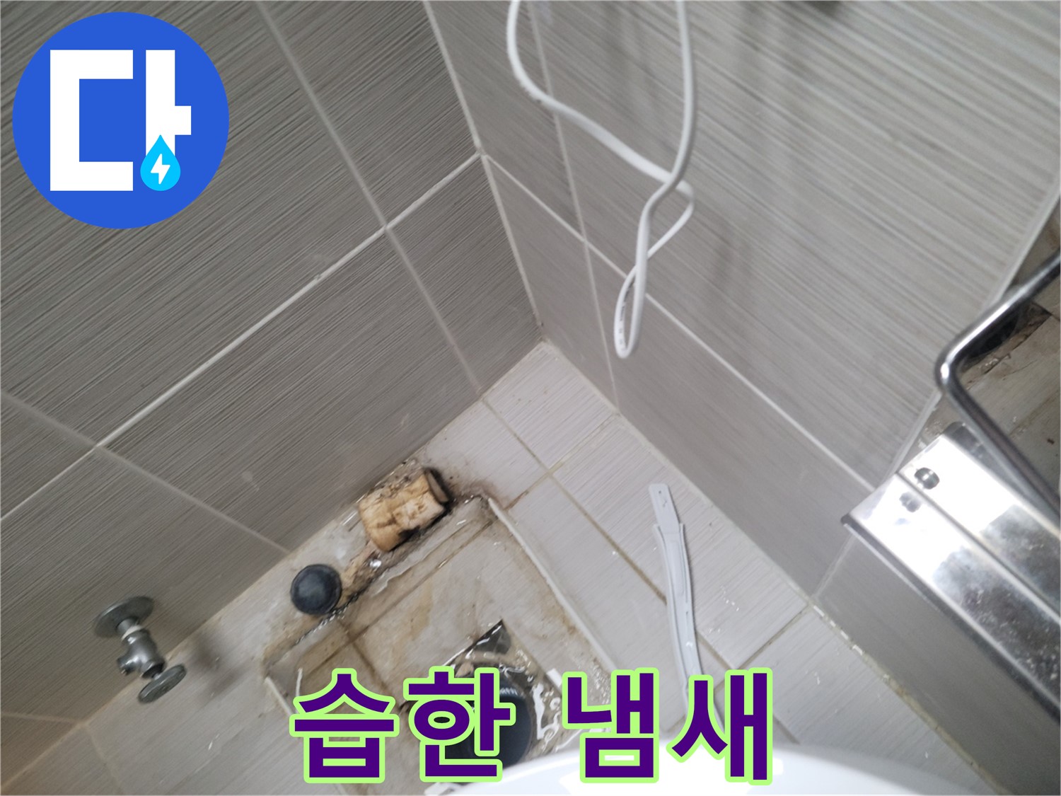 욕실 하수구 주변 - 습한 냄새 확인