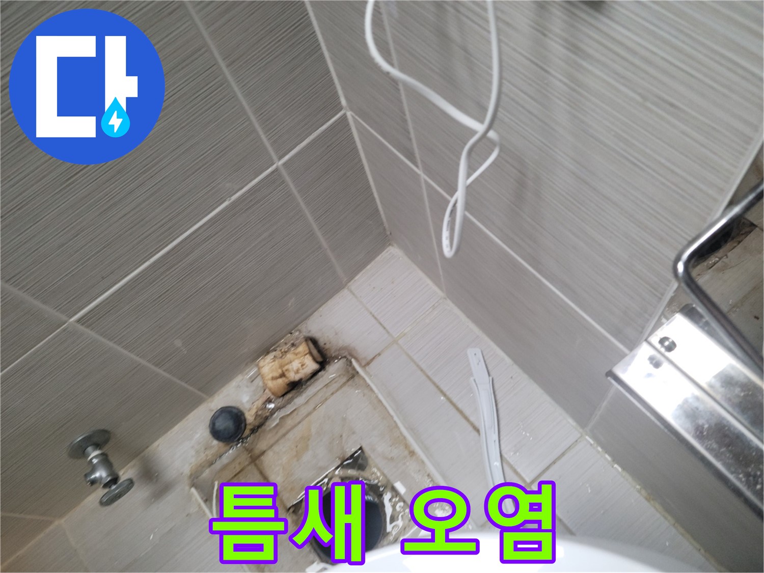 욕실 하수구 주변 - 타일 틈새 오염