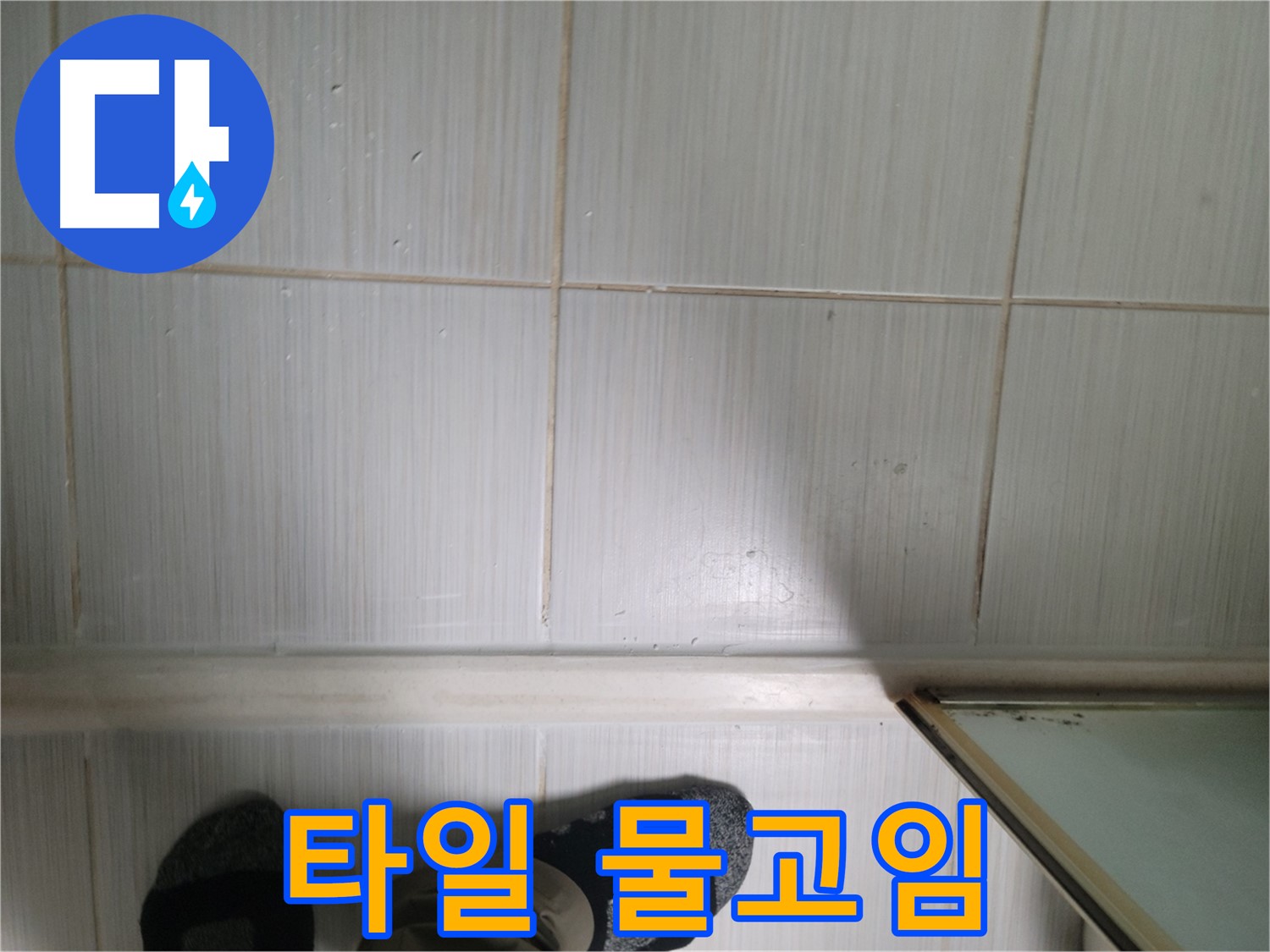 타일 틈새 물고임 - 습기 가득한 욕실, 누수 의심!