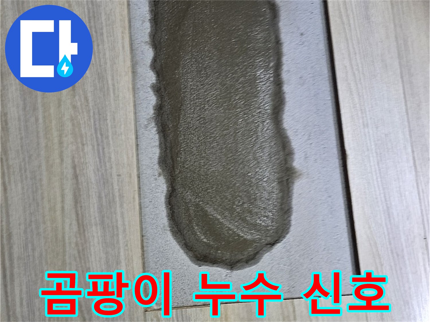 도봉동 누수 해결 - 곰팡이 핀 시멘트는 누수 신호탄!