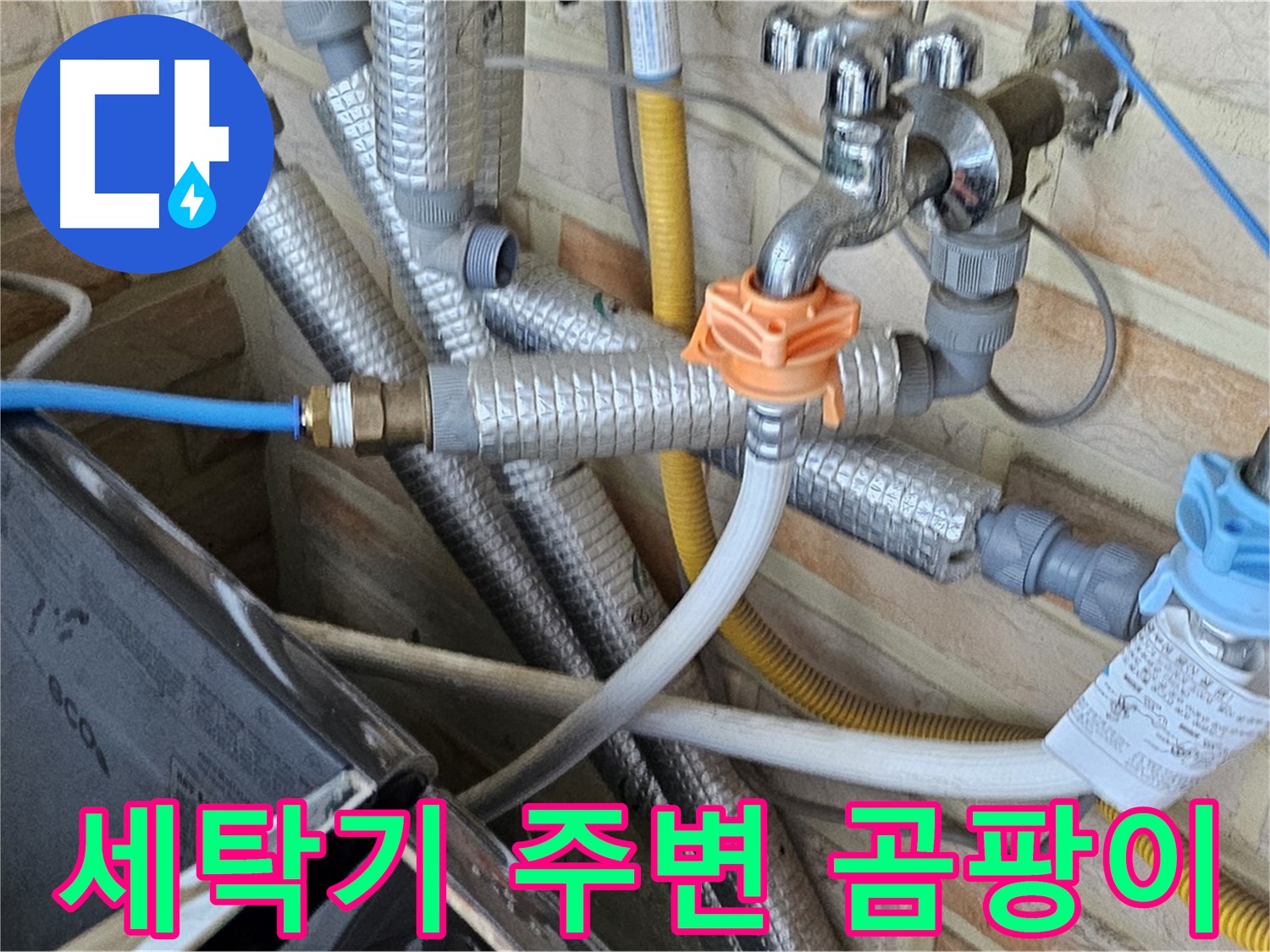 세탁기 주변 곰팡이 - 누수 가능성을 의심하고 정밀 탐지 진행