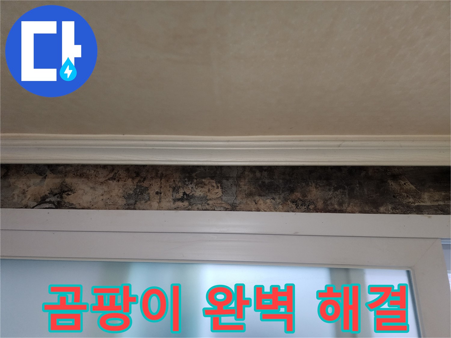 노원구 공릉동 누수 - 곰팡이 원인 분석 및 완벽 제거 시공