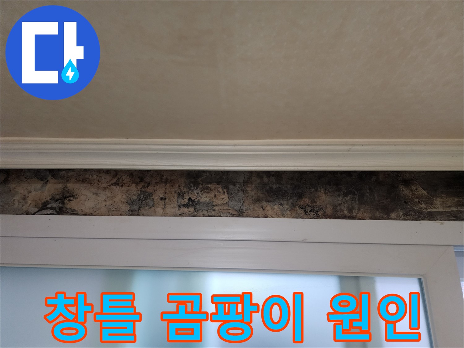 노원구 공릉동 누수 현장 - 창틀 곰팡이 발생 원인 꼼꼼 분석