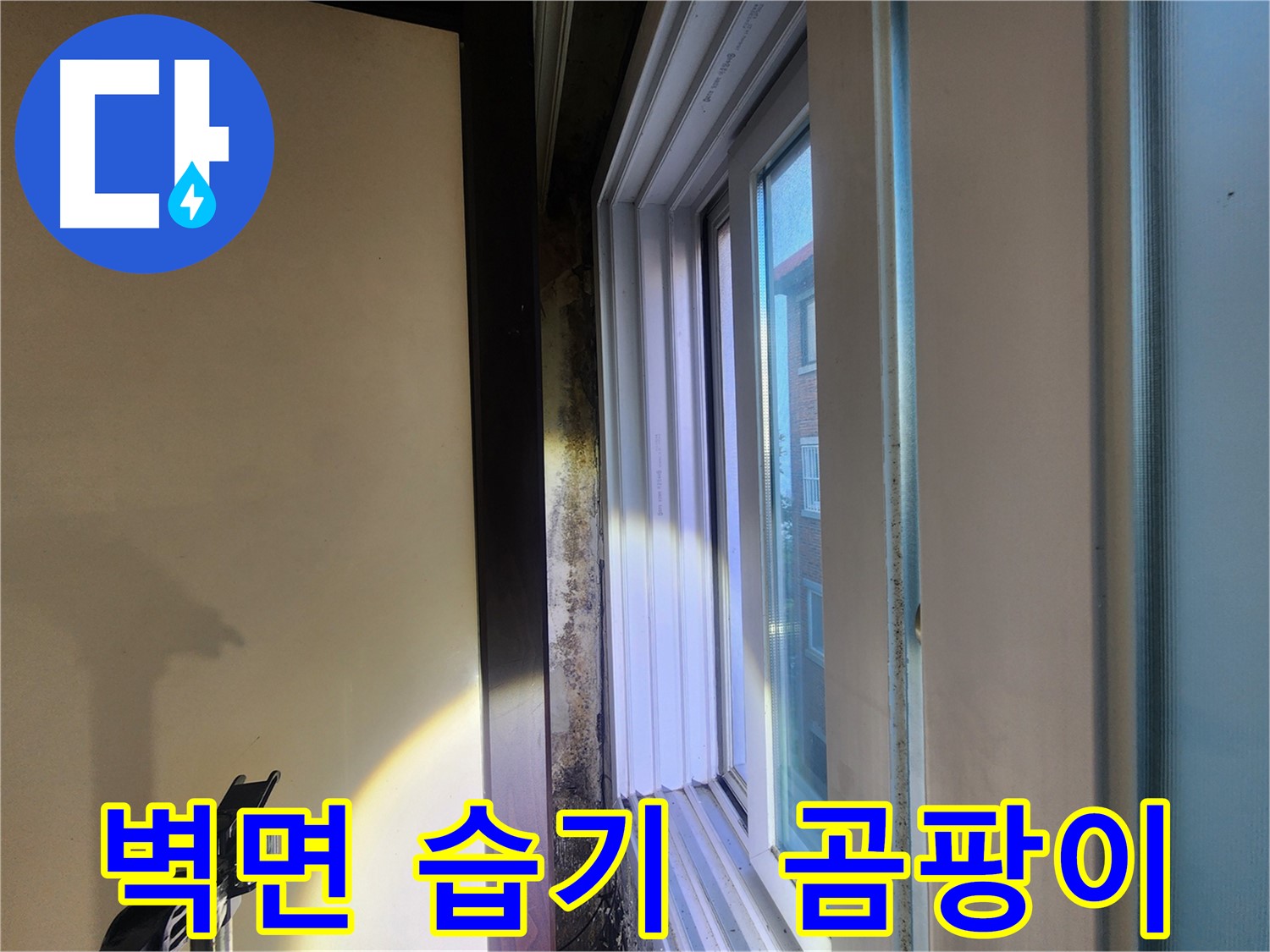 벽면 습기 및 곰팡이 - 누수 원인 정밀 분석 필요