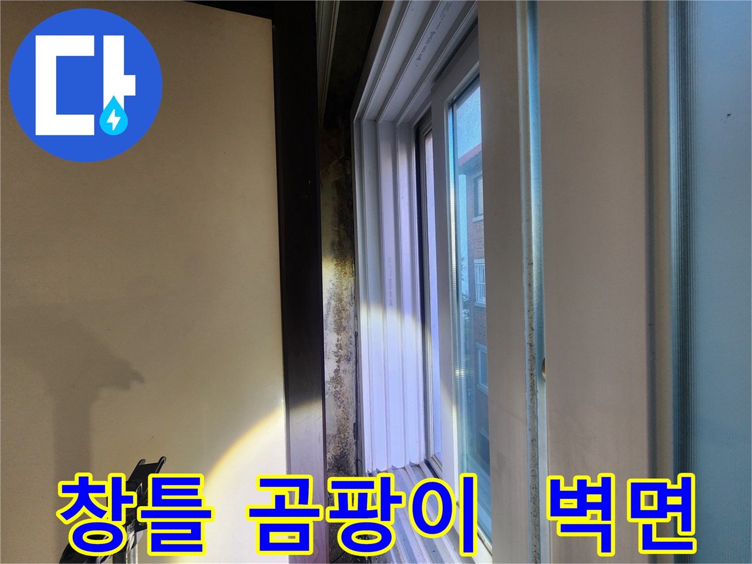 창틀 하단 곰팡이 발생 및 벽면 손상 - 공릉동 누수 긴급 보수 필요