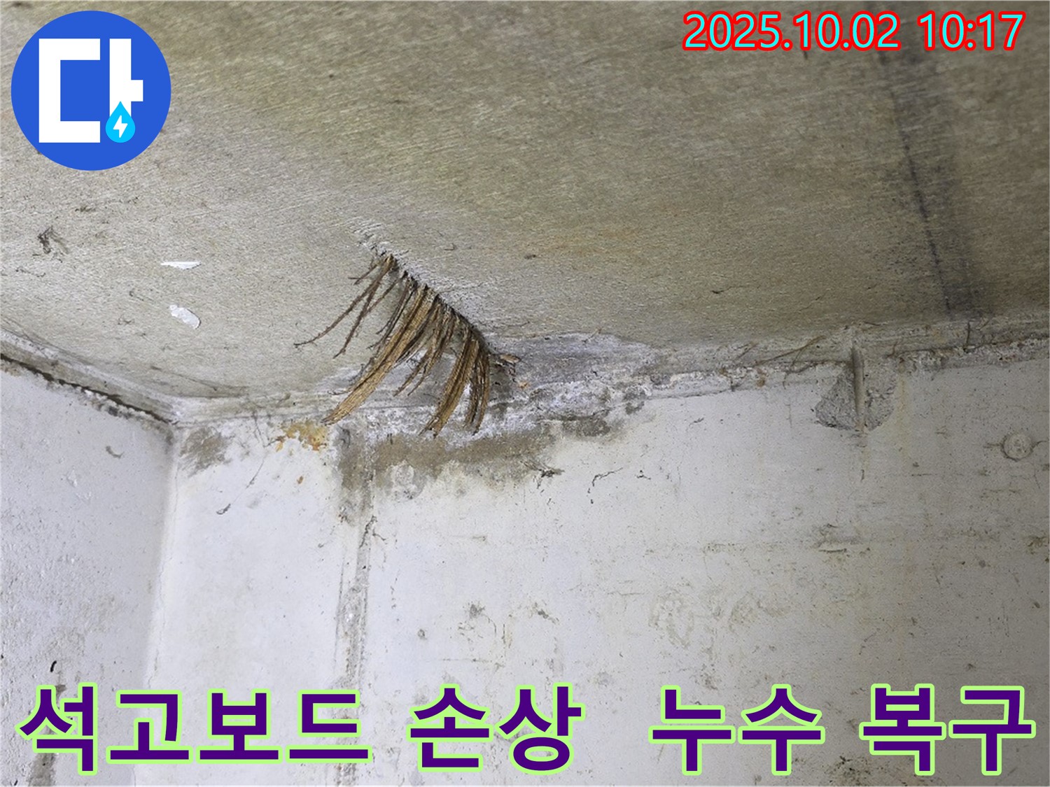 신산리 누수 - 천장 석고보드 손상! 원인 찾고 완벽 복구