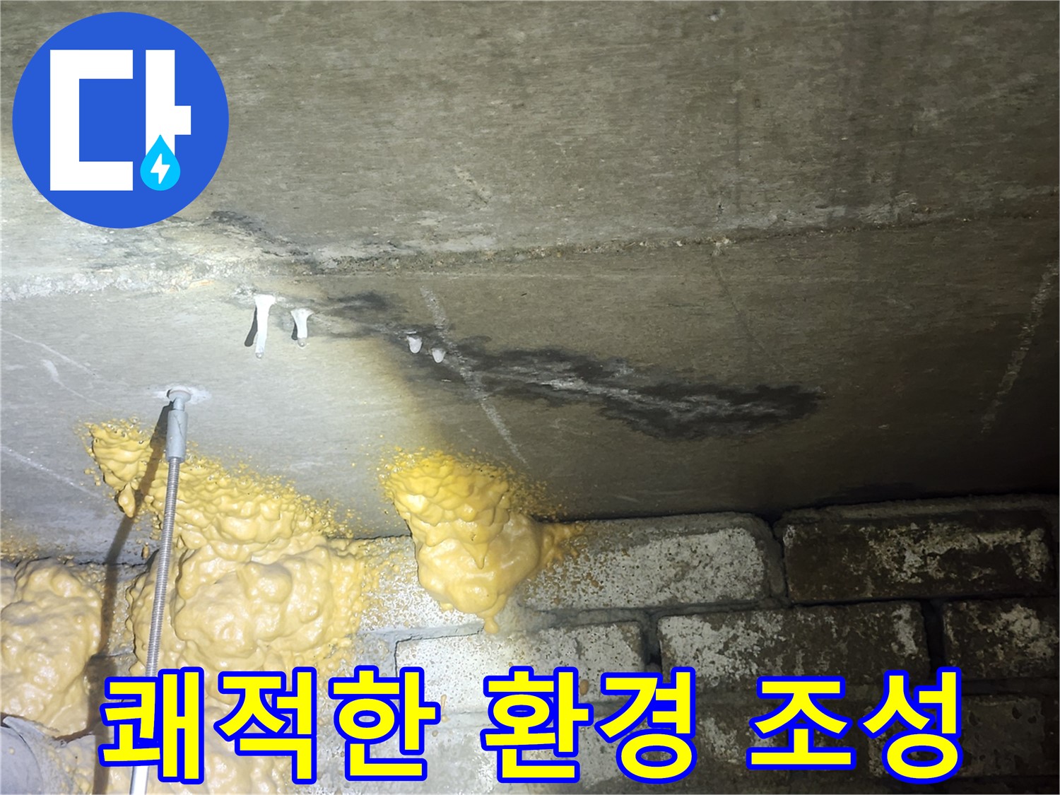 래미안당산1차 누수 - 변색 문제 해결 전문 업체의 맞춤형 해결책 및 쾌적한 환경 조성