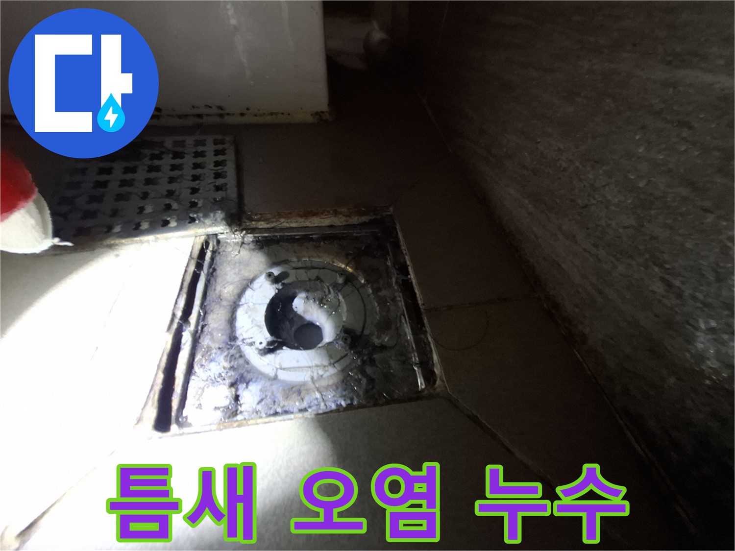경기 성남 봇들마을 욕실 틈새 오염 - 누수 점검, 복합적인 문제 해결 필요