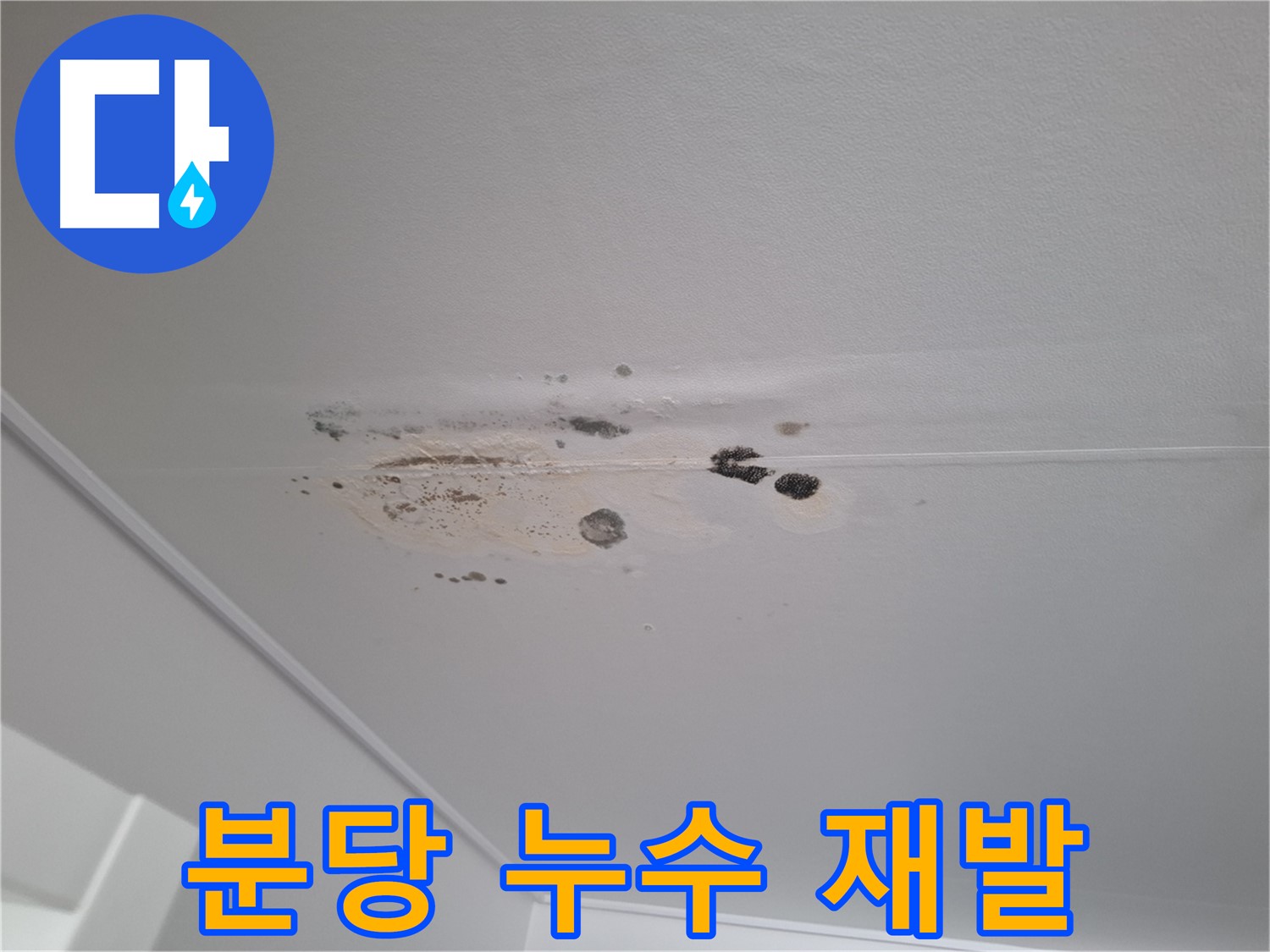 누수 해결 - 완벽 차단, 재발 걱정 없이!