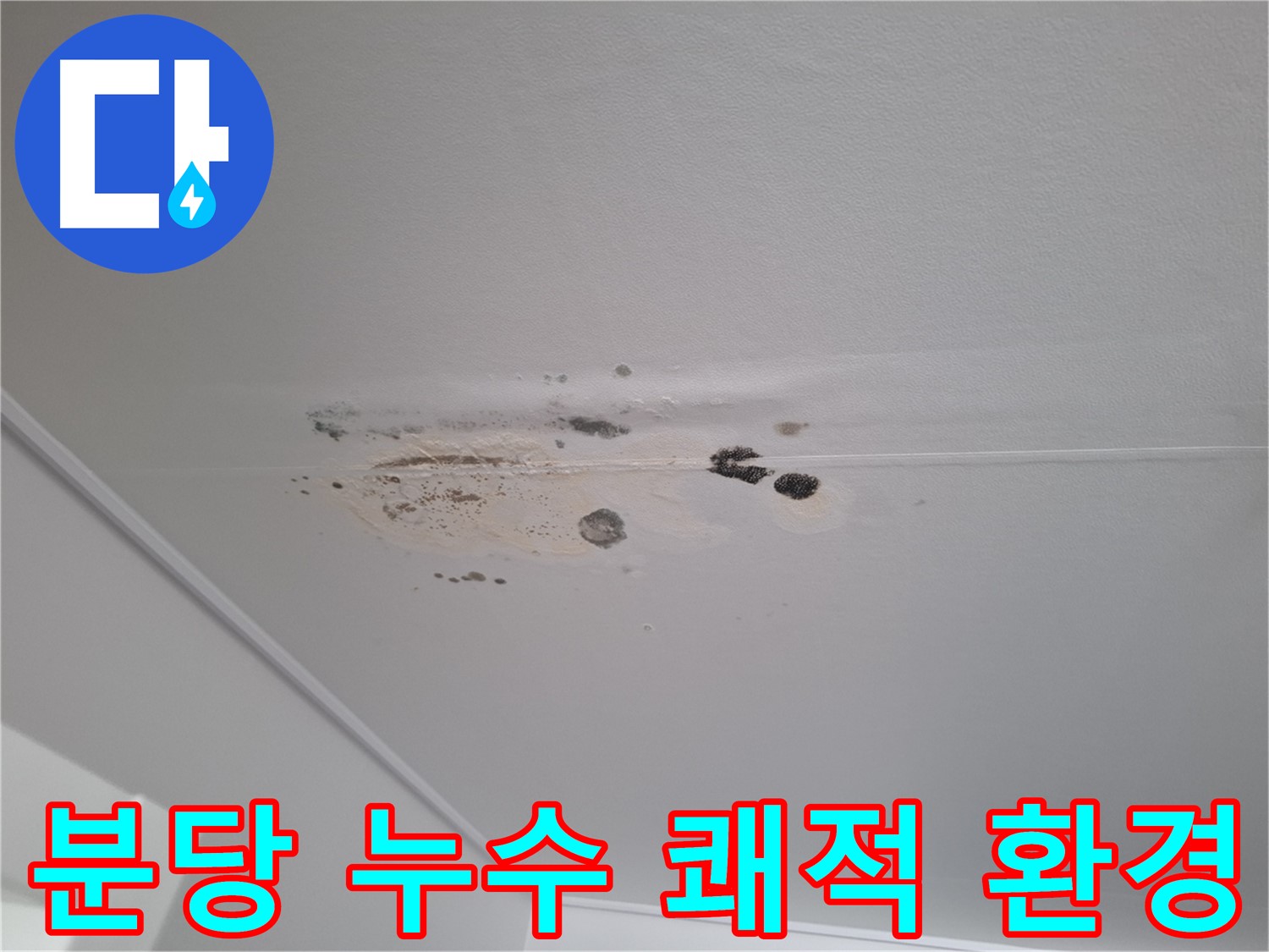 누수 해결 - 쾌적한 환경을 되찾아 드립니다