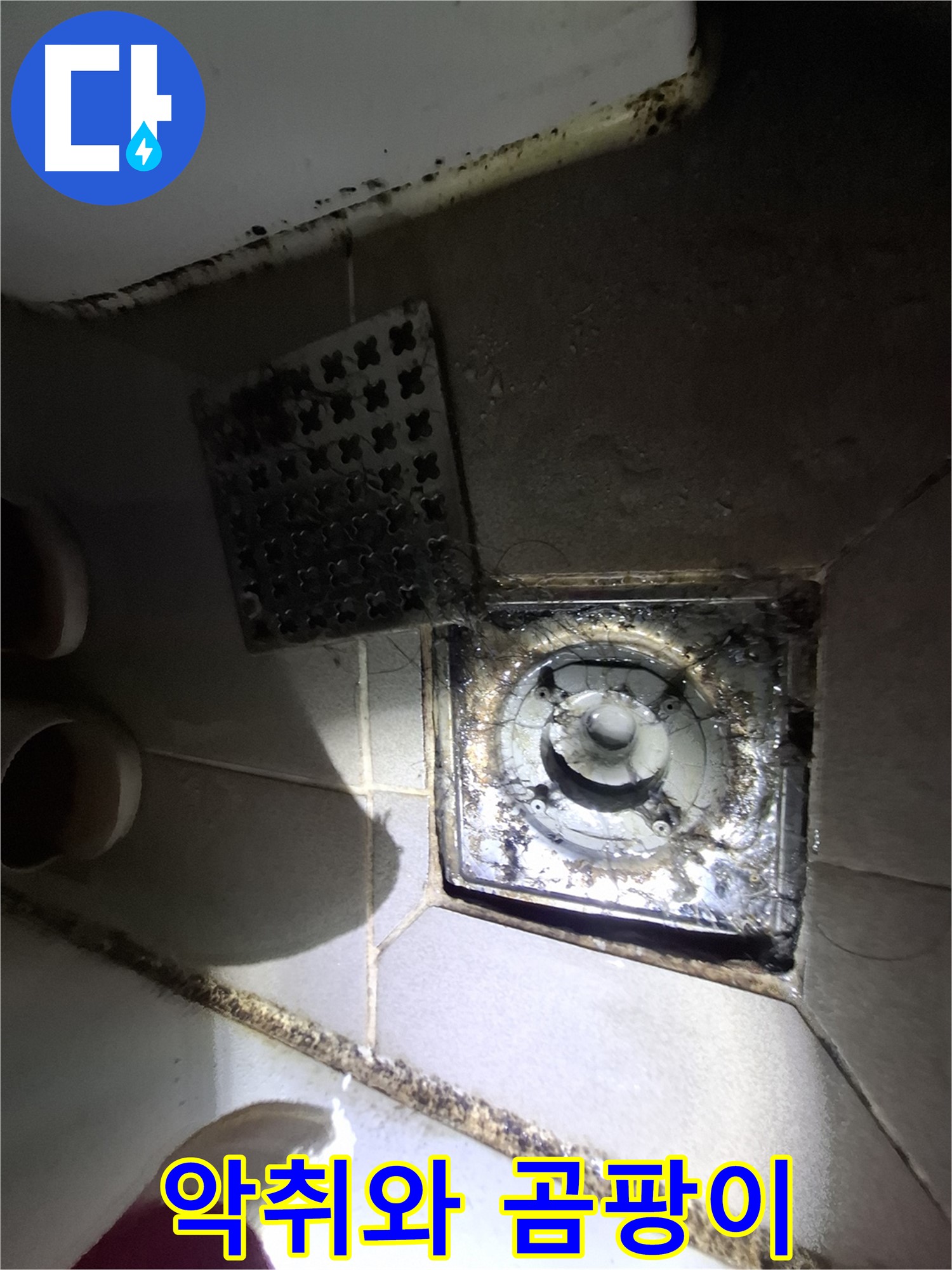 배수구 주변 악취와 곰팡이 - 누수 가능성 높음