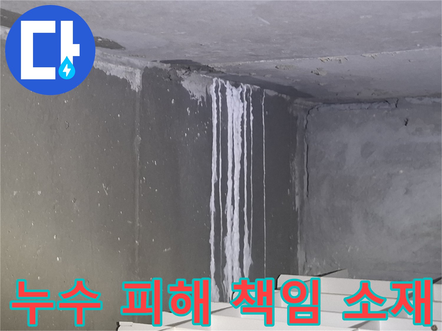 봇들마을 건물 누수 - 누수 피해 책임 소재는?