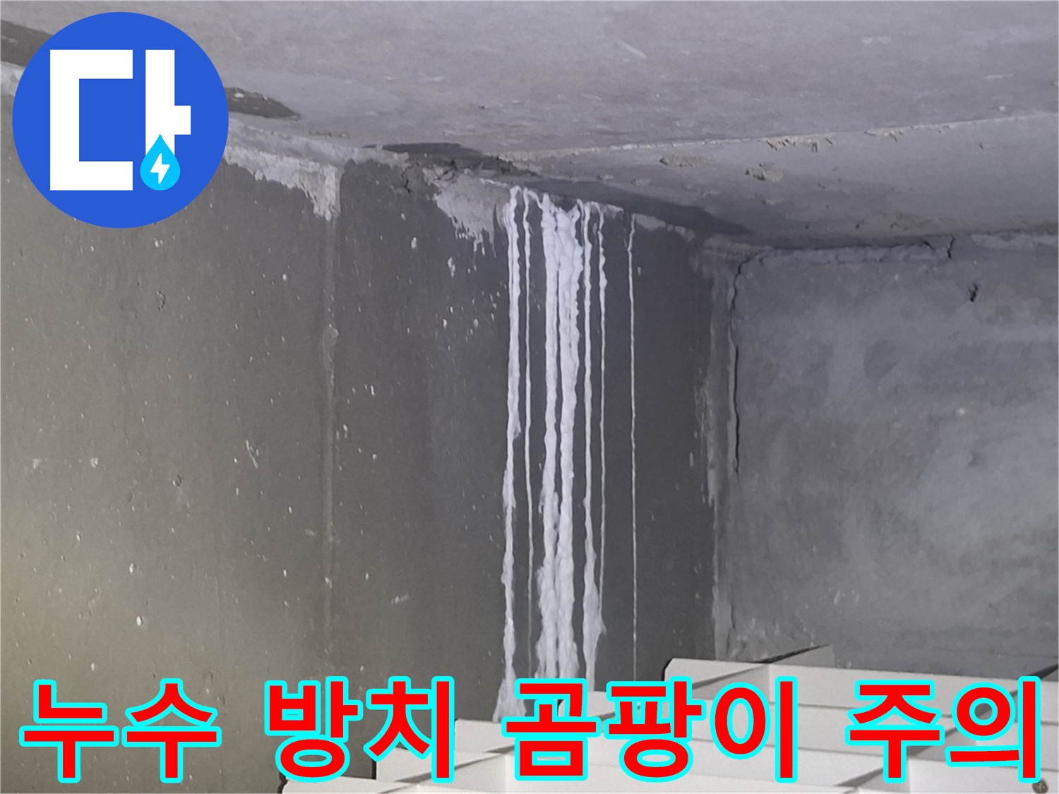 삼평동 아파트 누수 방치 - 곰팡이 발생 위험 경고