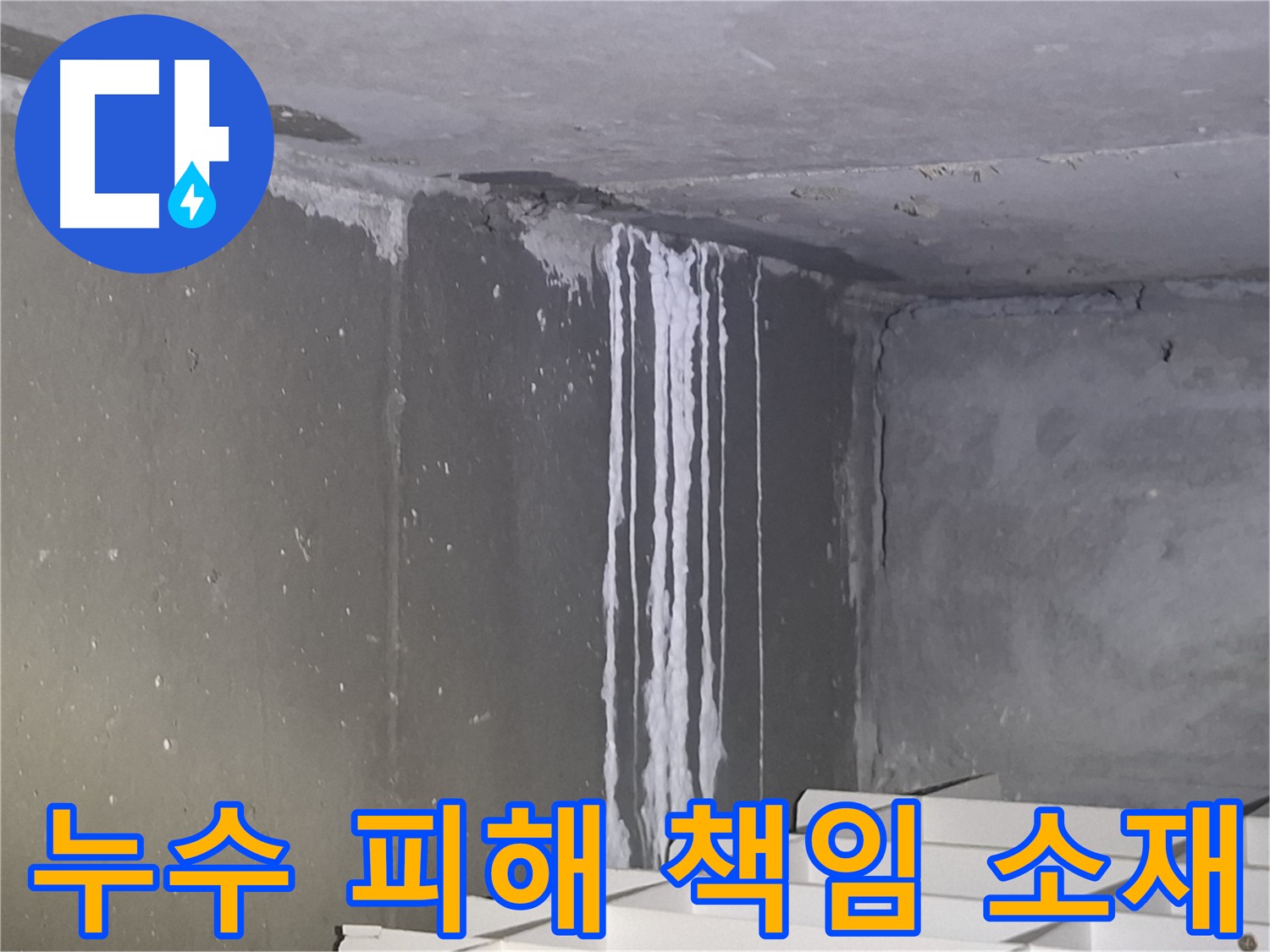 봇들마을 주차장 누수 - 누수 피해 책임 소재는?