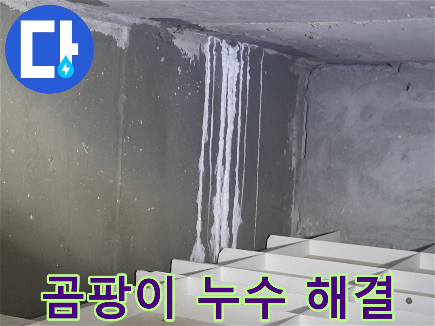 봇들마을2단지 - 곰팡이 핀 벽, 누수 해결하고 쾌적하게!