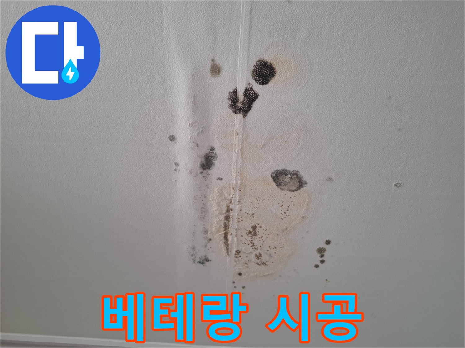 분당 누수 - 베테랑 기술자의 확실한 시공으로 곰팡이 문제 해결