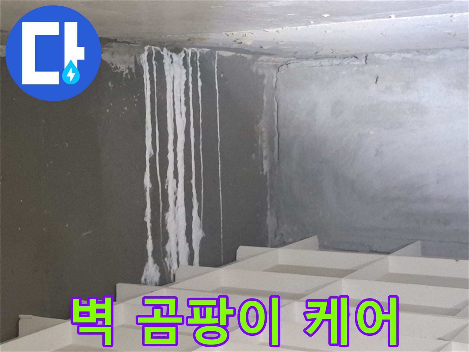 분당 누수 - 삼평동 아파트 벽에 맺힌 하얀 곰팡이 문제, 진단부터 시공까지 원스톱 솔루션 제공