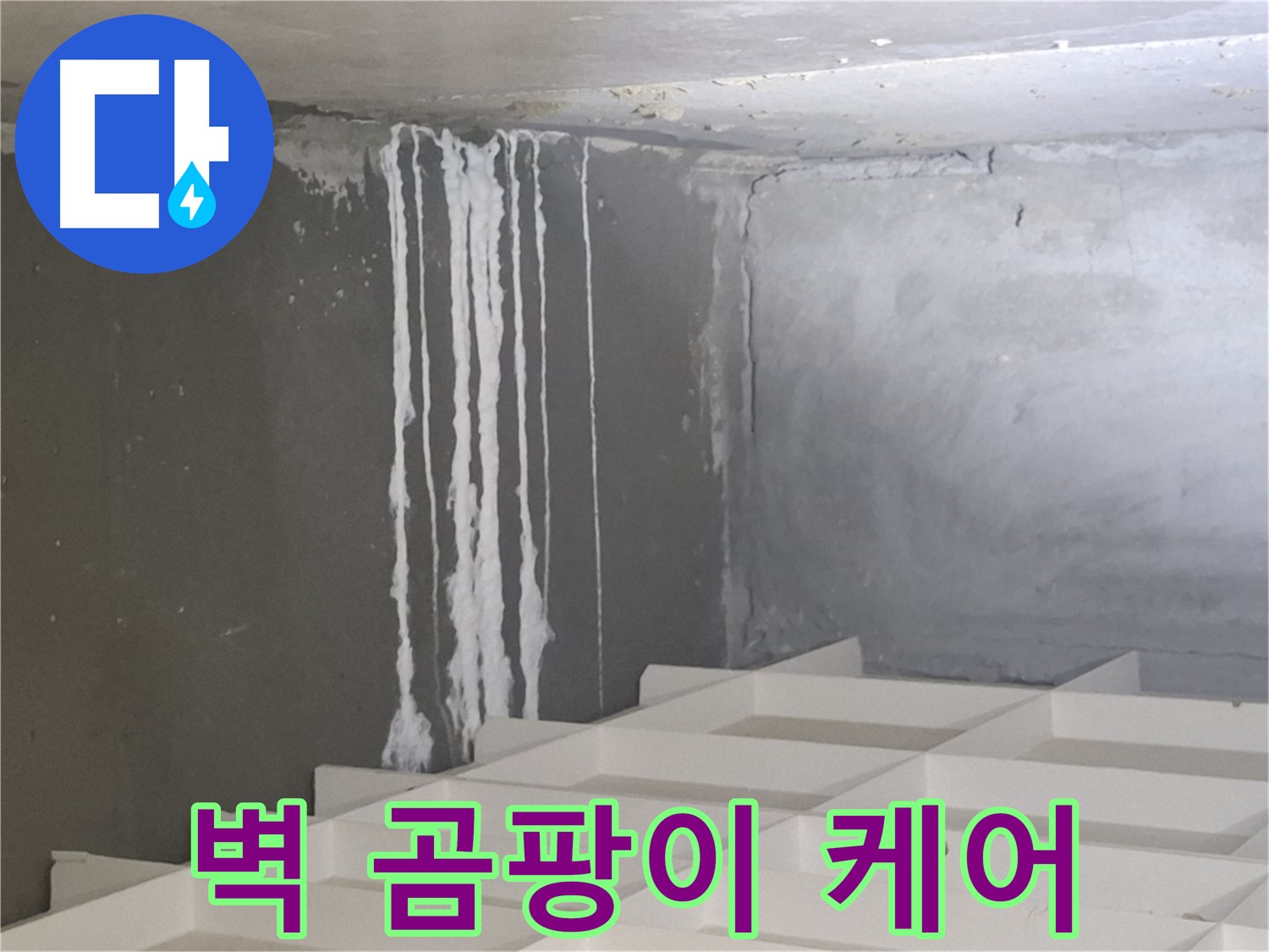 분당 누수 - 삼평동 아파트 벽에 맺힌 하얀 곰팡이 문제, 진단부터 시공까지 원스톱 솔루션 제공
