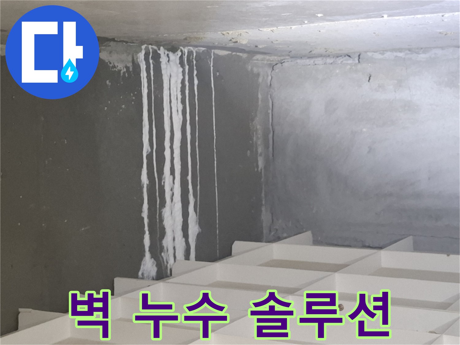 분당 누수 - 삼평동 아파트 콘크리트 벽 누수 문제, 진단부터 시공까지 원스톱 솔루션 제공