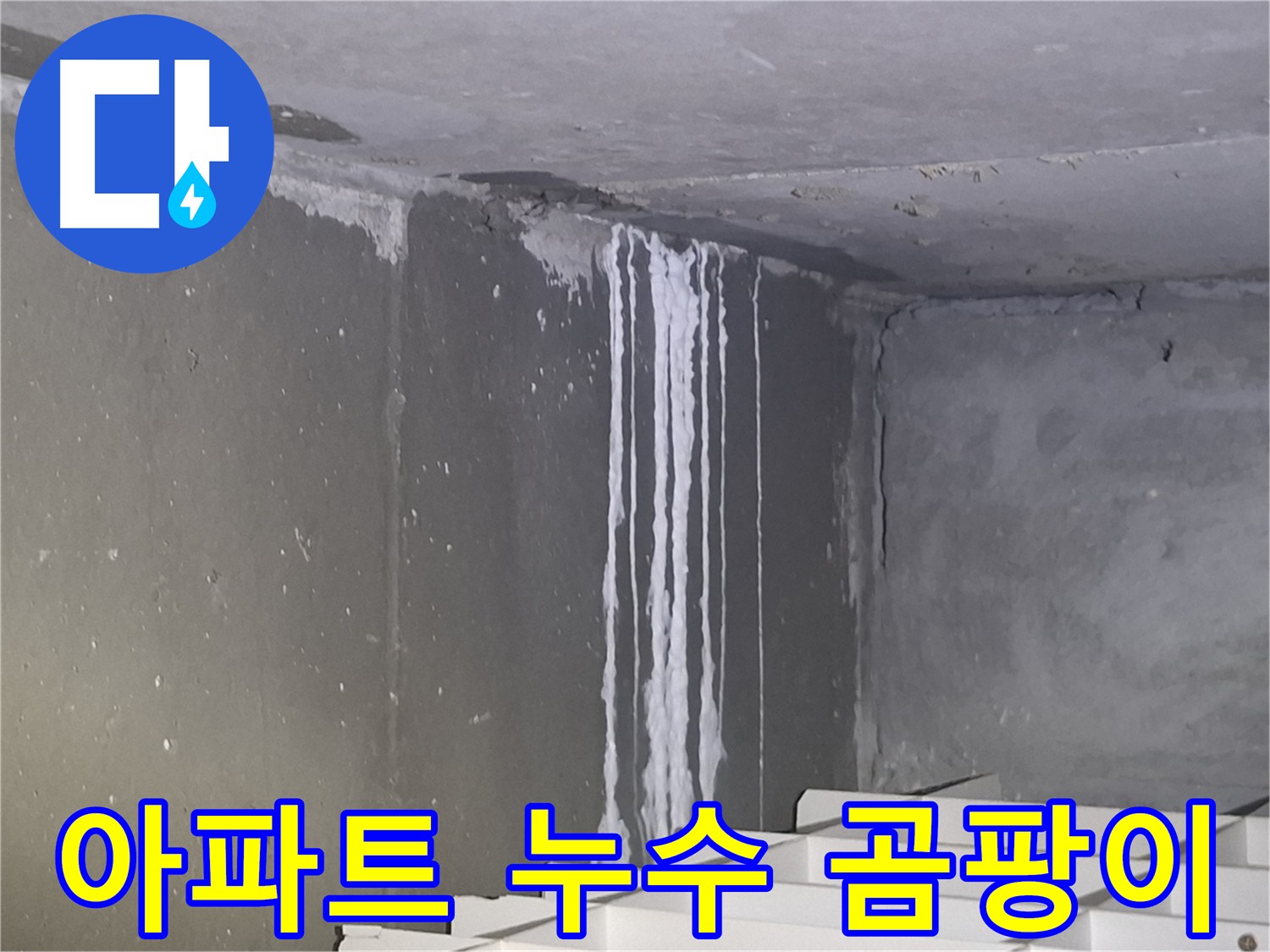 분당구 봇들마을 아파트 누수 흔적