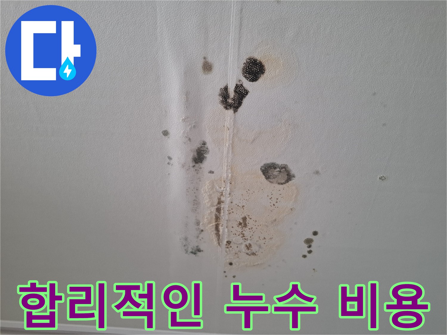분당 누수 해결 - 합리적인 비용으로 곰팡이까지 완벽하게