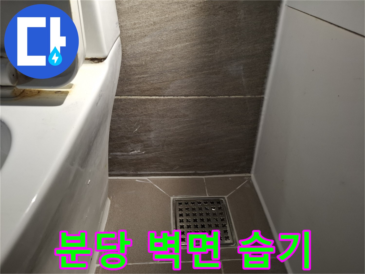 분당 변기 뒤쪽 벽면 습기 - 윗집 누수 의심