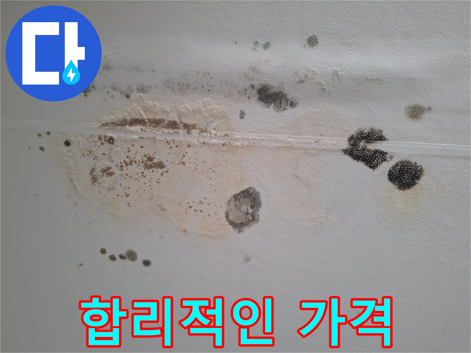 분당 봇들마을 누수 - 곰팡이 핀 천장, 합리적인 가격으로 곰팡이 제거