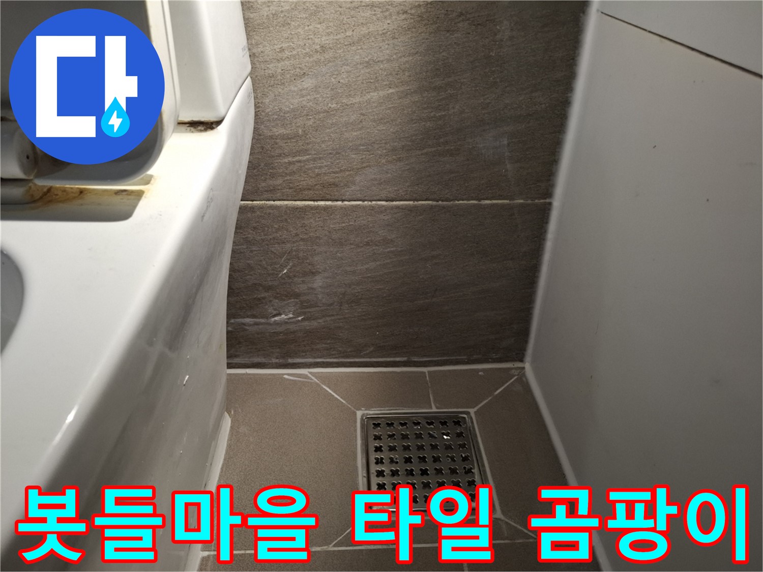 분당 봇들마을 변기 옆 타일 틈새 곰팡이 - 누수 의심